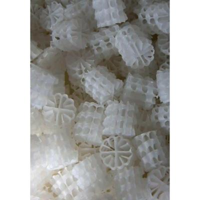 Biocarrier type helix