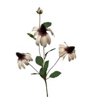 Roberts Collection Kunstbloem rudbeckia 83cm creme - thumbnail