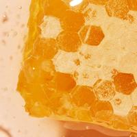 Reinigend en Regeneratief Masker Eve Lom 0028_7880 - thumbnail