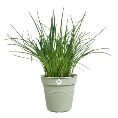 Elho Green Basics Kweekpot Steengroen Ø15cm - thumbnail