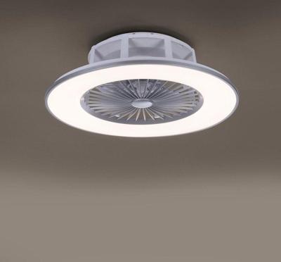 Paul Neuhaus maki - Moderne LED Dimbare Plafondventilator met lamp met Dimmer - 1 lichts - Ø 56 cm - Staal - Woonkamer | Slaapkamer | Keuken