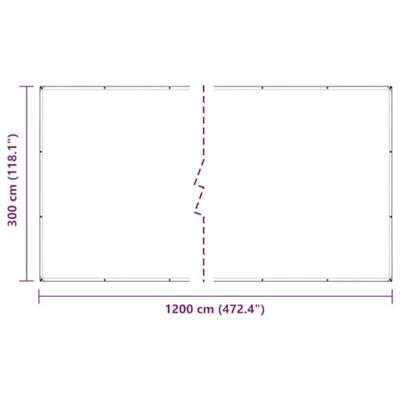 Doorzichtig zeildoek met zeilringen 3x10 m PVC