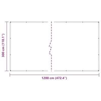 Doorzichtig zeildoek met zeilringen 3x10 m PVC - thumbnail
