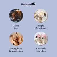 Beloved calm pet shampoo bar - thumbnail