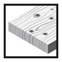 Bosch Accessories Expert for Wood 2608605644 Excenterschuurpapier Met klittenband, Geperforeerd Korrelgrootte (num) 180 (Ø) 125 mm 5 stuk(s) - thumbnail