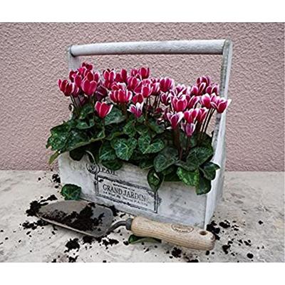 De Wit Plantschepje