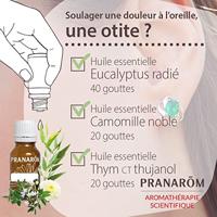Pranarôm Essentiële Olie Kamille 5ml - thumbnail