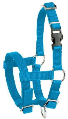 Alpaca halster blauw 2