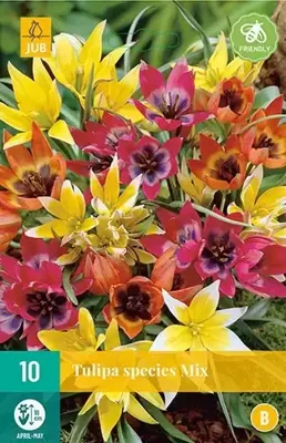 Tulp species mix 10 bollen