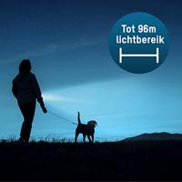 Ansmann Daily Use 270B Zaklamp werkt op batterijen LED 275 lm 36 h 142 g - thumbnail