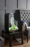 BiOrb schelp set 3 wit aquarium decoratie - thumbnail