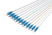 Digitus DK-29221-02 Glasvezel Optische vezel Aansluitkabel 2.00 m Wit, Violet, Turquoise, Zwart, Rood, Pink, Oranje, Geel, Grijs, Groen, Blauw, Bruin 9/125 µ - thumbnail