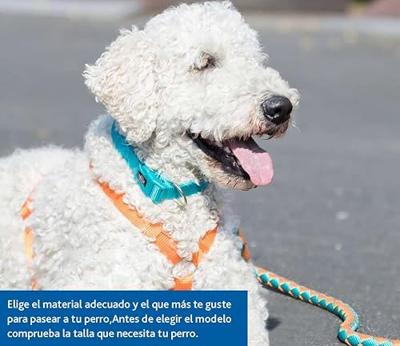 Hondenhalsband Trixie New Premium Kobaltblauw S 25-40 cm