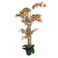 Phalaenopsis Orchidee in pot 140 cm Tiger Yellow kunstplant Buitengewoon de Boet - Buitengewoon de boet - thumbnail