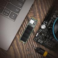 Transcend 115S 250 GB NVMe/PCIe M.2 SSD 2280 harde schijf PCIe NVMe 3.0 x4 Retail TS250GMTE115S - thumbnail