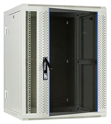 DSI 15U witte wandkast (kantelbaar) met glazen deur - DS6615W-DOUBLE server rack