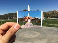 Polaroid ZINK cartridge met 30 prints van 5,0x7,5cm - thumbnail