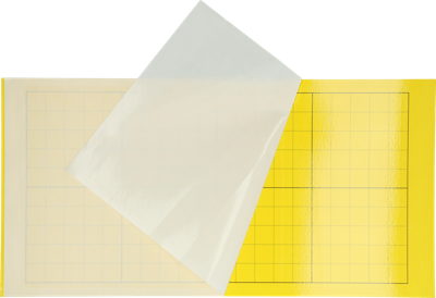 Insectron Lijmplaat 200/300 6 stuks Insectron Lijmplaat 200/300 6 stuks