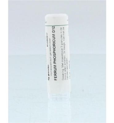 Ferrum phosphoricum D12
