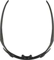 Olympic Sportswear Alpina sports sportbril hawkeye q-lite v zwart - thumbnail