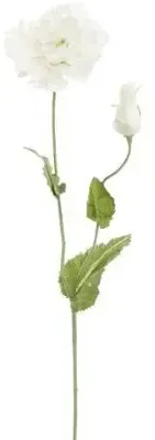 Pure Royal kunsttak klaproos 75cm crème Pure Royal kunsttak klaproos 75cm crème