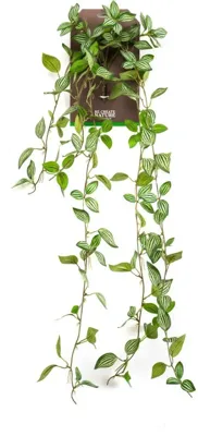 Peperomia hanging bush green/white kunstplant Emerald - Emerald
