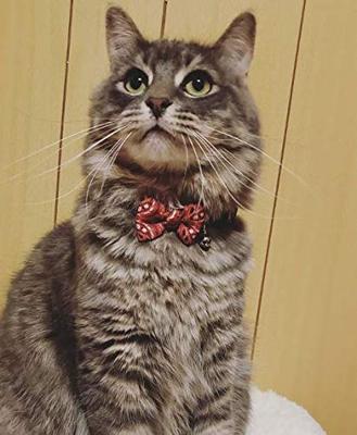 Pawise Cat collar met Bowknot rood