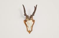 Fischer 073121 Oorbeugel Gehoorklem 72 mm 20 stuk(s) - thumbnail