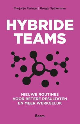 Hybride teams (Paperback)