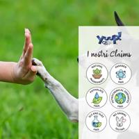 Yuup! paw balm potenwas bij slip en bescherming - thumbnail