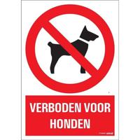 Combi-Bord 23 x 33 cm Bord Verbena Pickup - Pickup - thumbnail