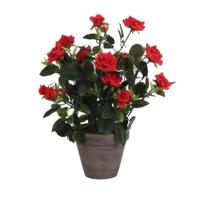 Decoratieve plant Mica Decorations Rosal Keramisch PVC - thumbnail