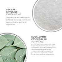Phyto Solutions Gommage Purifying Cleansing Scrub 200gr - thumbnail