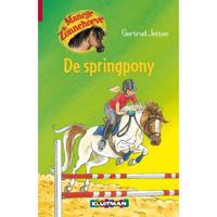 Kluitman Manege de zonnehoeve: de springpony - thumbnail