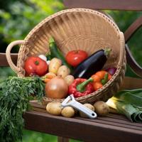 Westmark Quick Dunschiller Aluminium/RVS - thumbnail