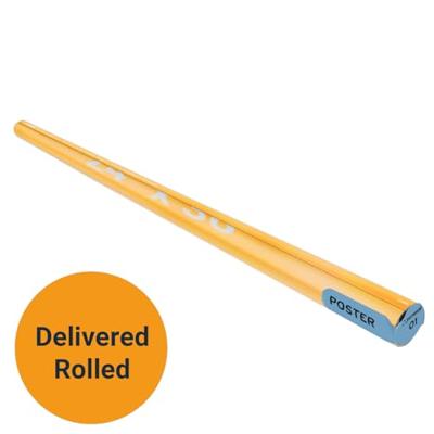 Poster Pink Floyd - 1973 61x91,5cm