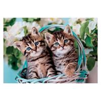 Clementoni legpuzzel super color lovely kitty twins, 60st. - thumbnail