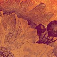 Noordwand Komar Ink Fotobehang Harvest - INX4-031 - thumbnail