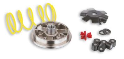 MALOSSI variomatic "multivar" variomatic