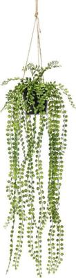 Zijdeplant Hangplant met pot Ficus Pumila kunstplant Driesprong Collection - Driesprong collection
