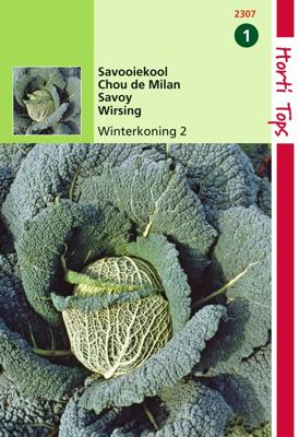 Zaden Savooiekool Winterkoning 2 Hortitops - Hortitops