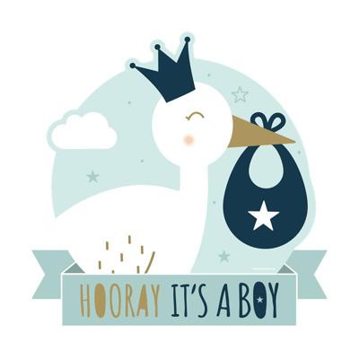 Huldeschild Hooray It's a Boy (50x50cm)