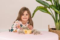 Pluchen muis 9 cm TEDDY HERMANN grijs - thumbnail