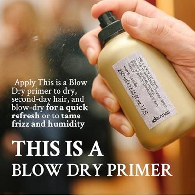 Davines More Inside This is a Blowdry Primer