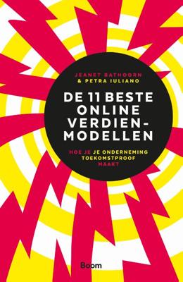 De 11 beste Online verdienmodellen (Paperback)