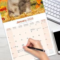 Keeshond Kalender 2026 - thumbnail