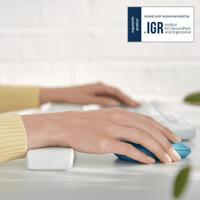 Leitz Ergo polssteun voor muis, grijs - thumbnail