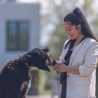 Hondenhalsband Trixie CityStyle Zwart L/XL 50-57 cm - thumbnail