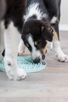 Trixie junior likplaat mintgroen - thumbnail