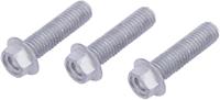 TRW bouten-set screw set 3pcs. m8x1,25 - thumbnail